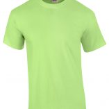 2000-345C_mint green-6.0 oz -ultra cotton- Mens shirts-ladies shirts-youth shirts- t shirt design- graphic t shirts