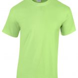 5000-345C_mint green-5.3 oz- heavy cotton- Mens shirts-ladies shirts-youth shirts- t shirt design- graphic t shirts
